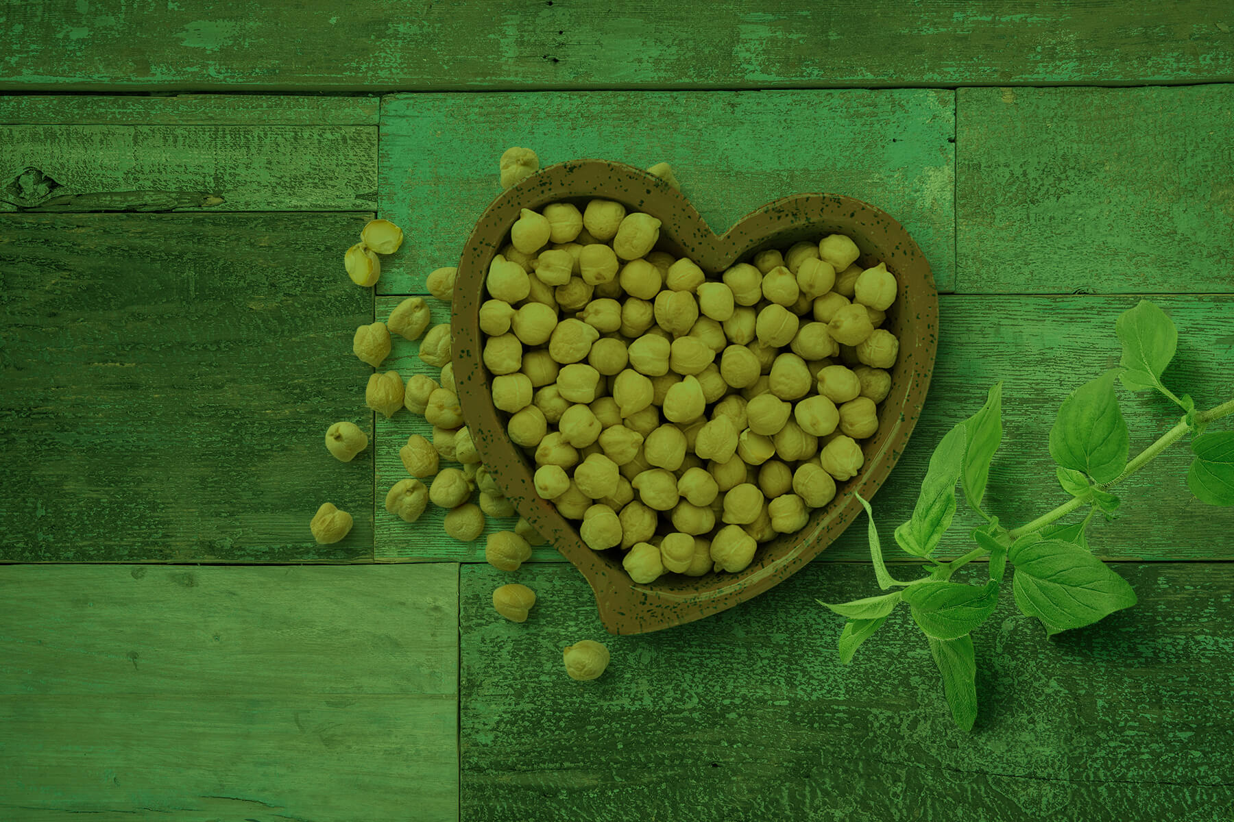 One Big Family [Our Culture]